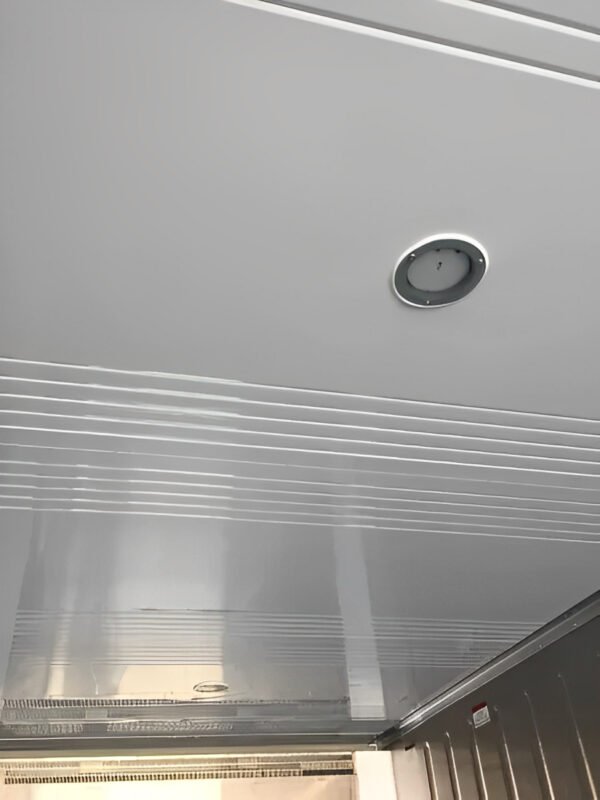 20Ft Domestic Refrigerated Containers