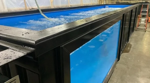 40Ft-Container-Swimming-Pools2-600x333 40Ft Container Swimming Pools